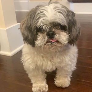 Meet your Posher, Mary